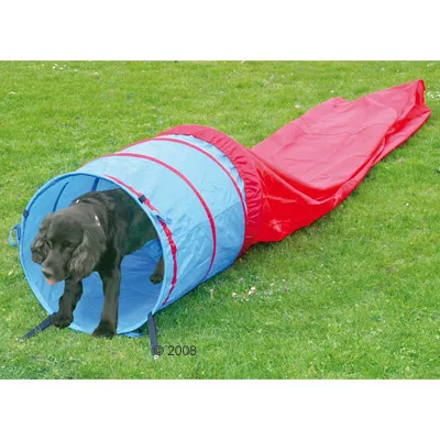 Dog demonstrating use of a blue and red agility tunnel on grass, showing the product in action for training or play purposes.