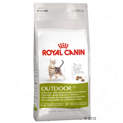 Bag labelled Royal Canin Outdoor 30, for active cats with frequent outdoor access. Highlights activity support, strengthened natural defences, and healthy bones and joints.