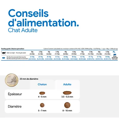 Recommandation d’alimentation pour chats adultes selon le poids, quantité journalière en grammes et en tasses. Comparaison de la taille et de l’épaisseur des croquettes pour chatons et adultes avec indications de mesure. Recommandation d’alimentation pour chats adultes selon le poids, quantité journalière en grammes et en tasses. Comparaison de la taille et de l’épaisseur des croquettes pour chatons et adultes avec indications de mesure.