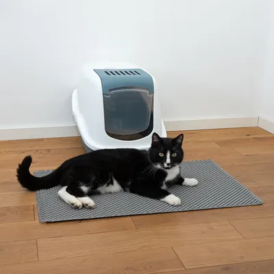 Caja de arena cerrada para gatos con alfombrilla gris delante, sobre la que descansa un gato blanco y negro. Se muestra el uso de la alfombrilla para la limpieza alrededor de la caja.