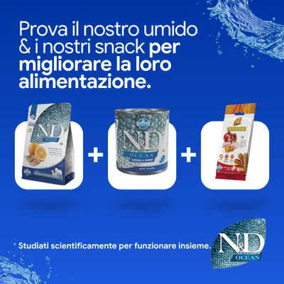 ND Ocean crocchette, ND Ocean alimento umido aringa & gamberetti e snack dental treat. Sviluppato scientificamente per una nutrizione ottimale. ND Ocean crocchette, ND Ocean alimento umido aringa & gamberetti e snack dental treat. Sviluppato scientificamente per una nutrizione ottimale.