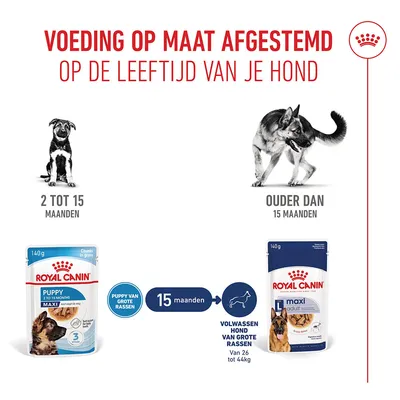 Royal Canin Maxi Puppy Hondenvoer in Saus