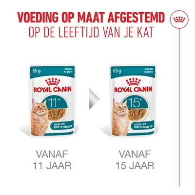 Royal Canin Senior Cats Voer: 11+ voor katten vanaf 11 jaar, 15+ voor katten vanaf 15 jaar. Leeftijdsgerichte voeding afgestemd op de levensfase. Royal Canin Senior Cats Voer: 11+ voor katten vanaf 11 jaar, 15+ voor katten vanaf 15 jaar. Leeftijdsgerichte voeding afgestemd op de levensfase.