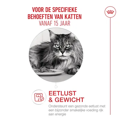 Voor de specifieke behoeften van katten vanaf 15 jaar: Eetlust & Gewicht. Ondersteunt een gezonde eetlust met smakelijk, energierijk voer.