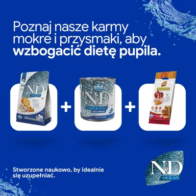 Trzy produkty N&D Ocean: karma sucha, karma mokra i przysmaki dentystyczne. Tekst: „Poznaj nasze karmy mokre i przysmaki, aby wzbogacić dietę pupila.” Trzy produkty N&D Ocean: karma sucha, karma mokra i przysmaki dentystyczne. Tekst: „Poznaj nasze karmy mokre i przysmaki, aby wzbogacić dietę pupila.”