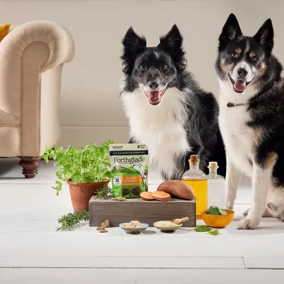 Two dogs beside Forthglade chicken with duck treats, surrounded by fresh ingredients including herbs, sweet potato, oil bottles and powders, showing product use and ingredient highlights.