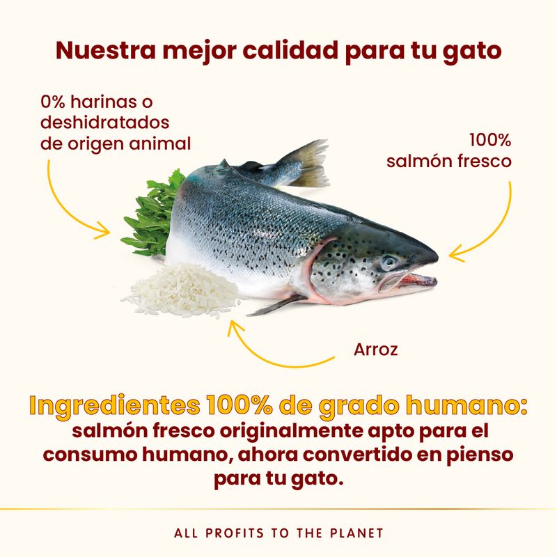 Almo Nature HFC Adult Sterilized con salmón