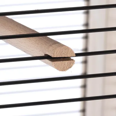 Wooden rod with semicircular profile, fixed between black metal bars of a cage.