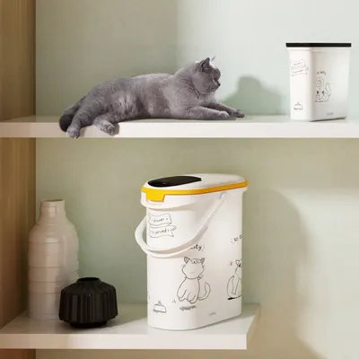 Zwei Futterbehälter mit Katzenillustrationen, einer mit gelbem Deckel und Tragegriff, der andere kleiner mit schwarzem Deckel. Katze liegt auf Regal daneben.