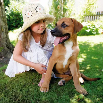 Perro de tamaño mediano con pelaje marrón y pecho blanco sentado en césped junto a una persona con vestido blanco y sombrero de paja, al aire libre en un jardín.