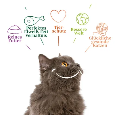 Reines Futter, perfektes Eiweiss-Fett-Verhältnis, Tierschutz, bessere Welt, glückliche gesunde Katzen. Illustration mit Katze und Symbolen.