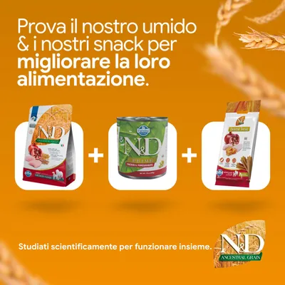 N&D Ancestral Grain crocchette, N&D Prime alimento umido e N&D Dental Treats. Sviluppati per migliorare l'alimentazione. Scientificamente bilanciati. N&D Ancestral Grain crocchette, N&D Prime alimento umido e N&D Dental Treats. Sviluppati per migliorare l'alimentazione. Scientificamente bilanciati.