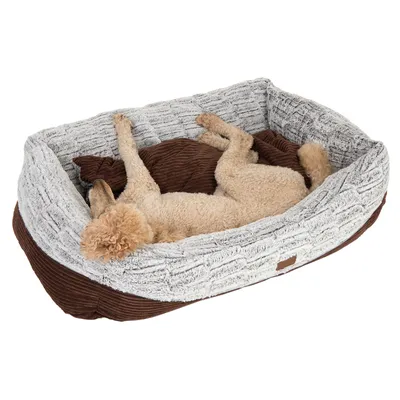 Hund liegt entspannt in einem braunen und grauen Hundebett mit weicher Polsterung.