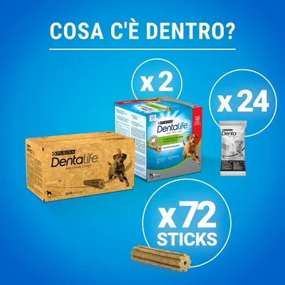 Purina Dentalife Daily Oral Care per cani, confezione da 2 scatole, 24 bustine e 72 sticks. Testo visibile: 'Cosa c'è dentro?', 'x2', 'x24', 'x72 sticks'.