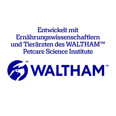 Pedigree Biscrok in 3 köstlichen Geschmacksrichtungen