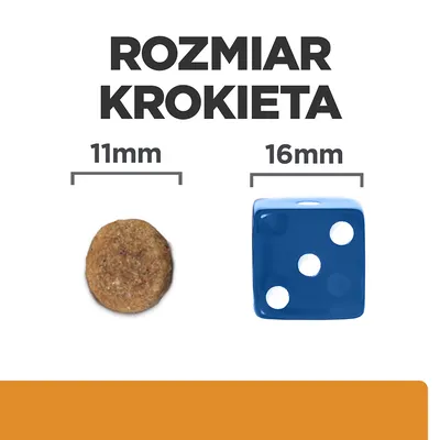 Rozmiar krokieta: średnica 11 mm, obok dla porównania niebieska kostka do gry o boku 16 mm. Rozmiar krokieta: średnica 11 mm, obok dla porównania niebieska kostka do gry o boku 16 mm.