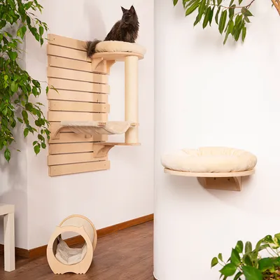 Drevený mačací strom na stenu s odpočívadlami, škrabadlom a tunelom. Na vrchnom lôžku sedí čierna mačka. Vedľa je samostatné nástenné okrúhle lôžko s vankúšom.