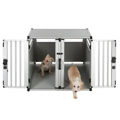 Box da trasporto per cani in metallo con doppio scomparto, porte aperte e due cuccioli all’interno. Struttura grigia con divisorio centrale visibile.