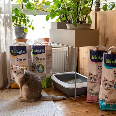 Biokat's Classic 3in1 kattenbakvulling in verschillende verpakkingen naast een kattenbak. Kat zit ervoor.