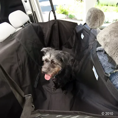 Svart bilskydd för baksäte med hund. Skyddar säten mot smuts och djurhår, fästs med remmar på nackstöd.