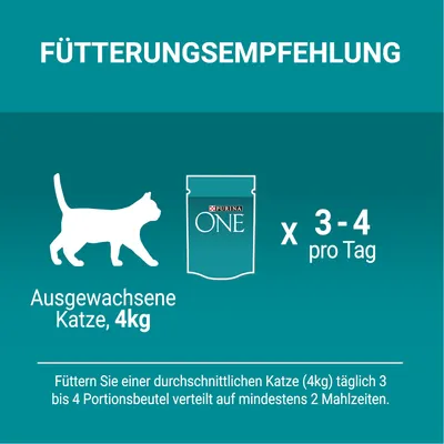 Ruokintaohje: aikuiselle kissalle (4 kg) Purina ONE -annospusseja 3–4 kpl päivässä, jaettuna vähintään kahdelle aterialle. Teksti saksaksi.
