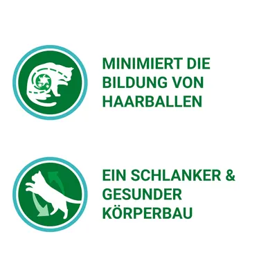 MINIMIERT DIE BILDUNG VON HAARBALLEN; EIN SCHLANKER & GESUNDER KÖRPERBAU feliratok német nyelven, zöld körben macska ikonokkal