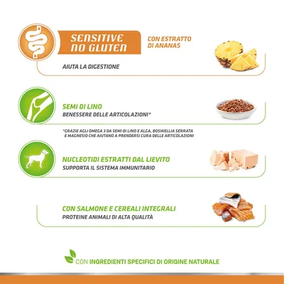 SENSITIVE NO GLUTEN, con estratto di ananas, aiuta la digestione. Semi di lino, benessere delle articolazioni. Nucleotidi estratti dal lievito, supporta il sistema immunitario. Con salmone e cereali integrali.