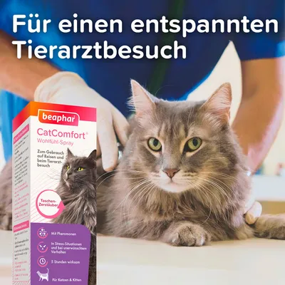 beaphar CatComfort Wohlfühl-Spray -pakkauksen etuosa, teksti saksaksi. Taustalla eläinlääkäri ja harmaa kissa tutkimuspöydällä. Teksti kuvassa: Für einen entspannten Tierarztbesuch.