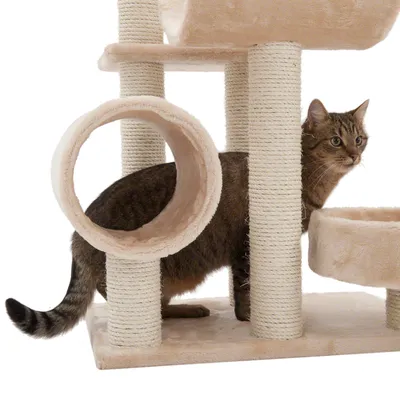 Arbre à chat beige avec poteaux en sisal, tunnel et plateforme, chat tigré debout à côté du tunnel. Matériaux visibles : tissu doux, sisal.