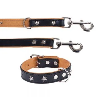 Set aus braun-schwarzem Halsband und Leine mit silbernen Stern- und Rundnieten, Metallverschlüssen und D-Ring.