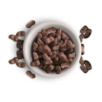 Leonardo Adult Maxi Grainfree Kattenvoer