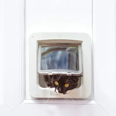 Črna mačka z rumenimi očmi gleda skozi bela mačja vrata s prozornim pokrovom. Znamka SureFlap je vidna na vratih.