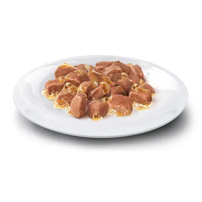 Nahaufnahme von Fleischstückchen in Gelee auf einem weissen Teller, präsentiert als Nassfutter für Haustiere.