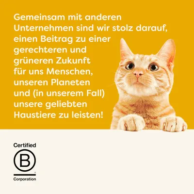 Text: Gemeinsam mit anderen Unternehmen sind wir stolz darauf, einen Beitrag zu einer gerechteren und grüneren Zukunft für Menschen, Planeten und Haustiere zu leisten. Certified B Corporation.