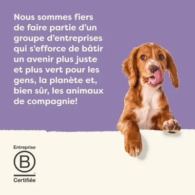 Lot mixte Applaws Taste Toppers 12 x 85 g pour chien Lot mixte Applaws Taste Toppers 12 x 85 g pour chien