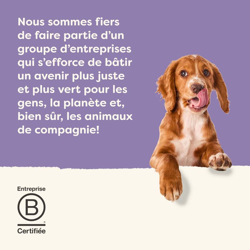 Applaws Taste Toppers avec bouillon en boîte 8 x 156 g