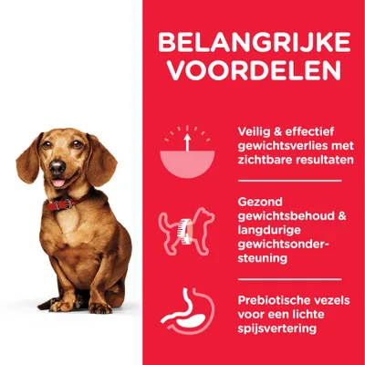 Belangrijke voordelen: veilig & effectief gewichtsverlies met zichtbare resultaten, gezond gewichtsbehoud & langdurige gewichts-ondersteuning, prebiotische vezels voor lichte spijsvertering.