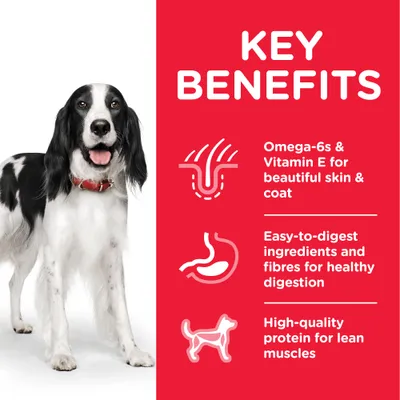 Teksti englanniksi: Key Benefits. Omega-6s & Vitamin E for beautiful skin & coat, easy-to-digest ingredients and fibres for healthy digestion, high-quality protein for lean muscles.