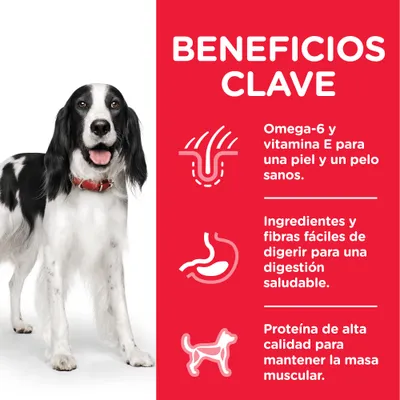 Beneficios clave: omega-6 y vitamina E para piel y pelo sanos, ingredientes y fibras fáciles de digerir, proteína de alta calidad para mantener la masa muscular. Texto en español.