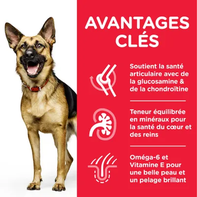 AVANTAGES CLÉS : Soutient la santé articulaire avec de la glucosamine & de la chondroïtine, minéraux pour le cœur et les reins, oméga-6 et vitamine E pour la peau et le pelage.