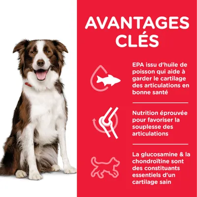 Avantages clés : EPA issu d’huile de poisson pour le cartilage, nutrition éprouvée pour la souplesse des articulations, glucosamine et chondroïtine essentiels au cartilage sain.