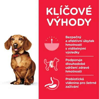 Kľúčové výhody: bezpečný a efektívny úbytok hmotnosti, podpora dlhodobého udržania zdravej hmotnosti, prebiotická vláknina pre šetrné zažívanie. Text v češtine.