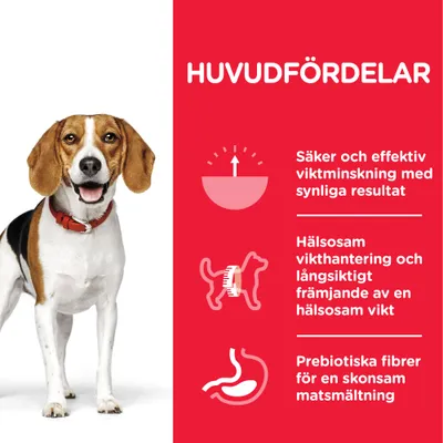 HUVUDFÖRDELAR: Säker och effektiv viktminskning med synliga resultat, hälsosam vikthantering och långsiktigt främjande av en hälsosam vikt, prebiotiska fibrer för en skonsam matsmältning.