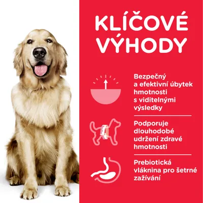 Klíčové výhody: Bezpečný a efektivní úbytek hmotnosti, podpora dlouhodobého udržení zdravé hmotnosti, prebiotická vláknina pro šetrné zažívání.