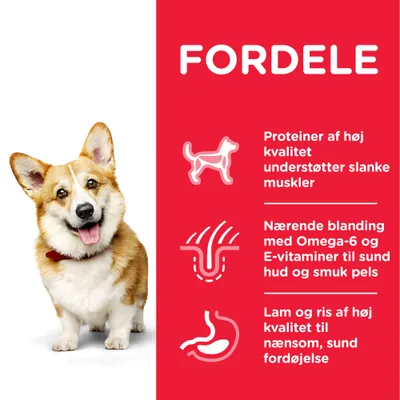 FORDELE: Proteiner af høj kvalitet understøtter slanke muskler. Nærende blanding med Omega-6 og E-vitaminer til sund hud og smuk pels. Lam og ris af høj kvalitet til nænsom, sund fordøjelse.