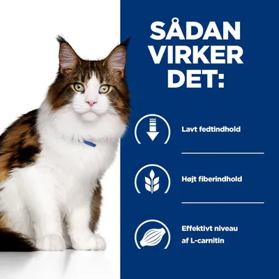 SÅDAN VIRKER DET: Lavt fedtindhold, Højt fiberindhold, Effektivt niveau af L-carnitin. Tekst ved siden af kat.