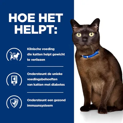 HOE HET HELPT: Klinische voeding die katten helpt gewicht te verliezen. Ondersteunt de unieke voedingsbehoeften van katten met diabetes. Ondersteunt een gezond immuunsysteem.