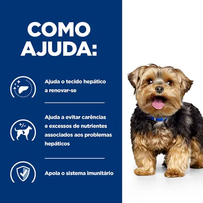 COMO AJUDA: Ajuda o tecido hepático a renovar-se. Ajuda a evitar carências e excessos de nutrientes associados aos problemas hepáticos. Apoia o sistema imunitário.