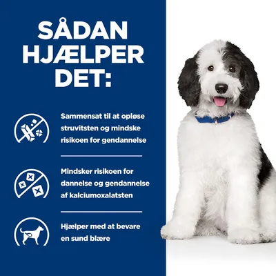 SÅDAN HJÆLPER DET: Sammensat til at opløse struvitsten og mindske risikoen for gendannelse. Mindsker risikoen for dannelse og gendannelse af kalciumoxalatsten. Hjælper med at bevare en sund blære.