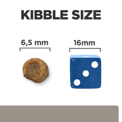 Kibble Size felirat, egy 6,5 mm-es táp szemcse és egy 16 mm-es kék dobókocka méretösszehasonlítása látható.